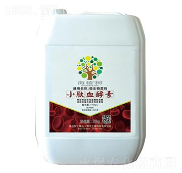 С��Ѫ����-��ֲ��(sh��)