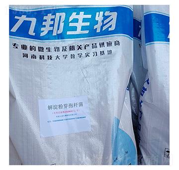 解淀粉芽孢桿菌-九邦生物