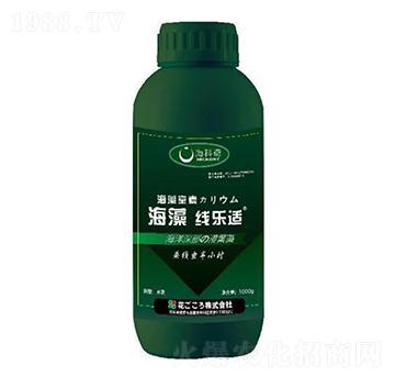 海藻線樂適-海科奇