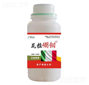 �������f-��(��i)����