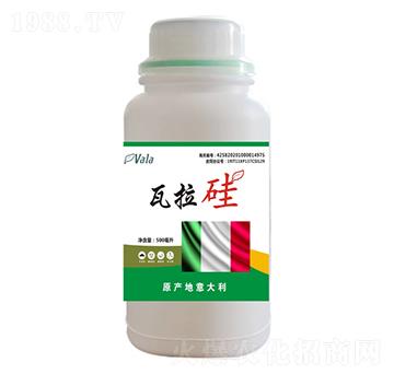 ������-��(��i)����