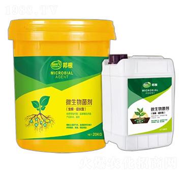 ���������L��΢�������-���-�ݶ��