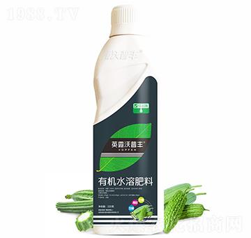 苦瓜絲瓜需配有機水溶肥料-英露沃普豐