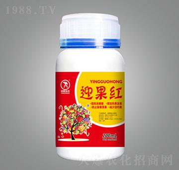 迎果紅-安隆生態(tài)