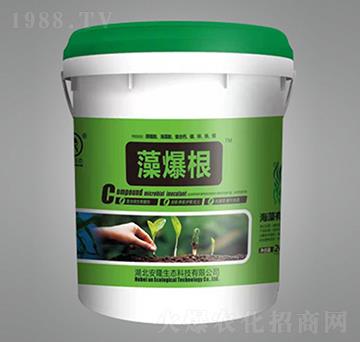 藻爆根-安隆生態(tài)