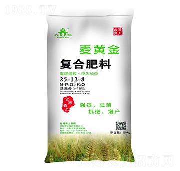 ��(f��)�Ϸ���25-12-8-���S��-���ϻ���