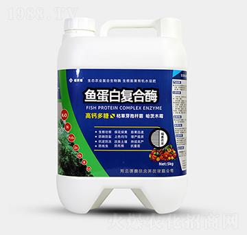 5kg�~���׏ͺ�ø-��ِ��