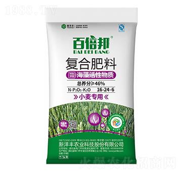 小麥專用海藻活性復(fù)合肥料16-24-6-百倍邦-新洋豐