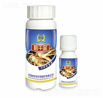 ��ˎ�Č����~���-��ǧ��-�������r