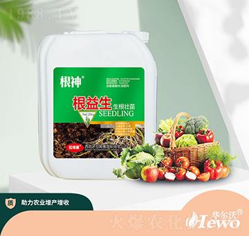 根益生-根神-華爾沃