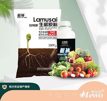 ����ԭ��-����ِ-�A����