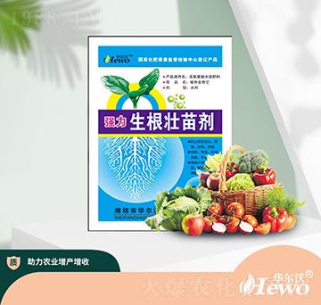 �����������焩���{��-�A����