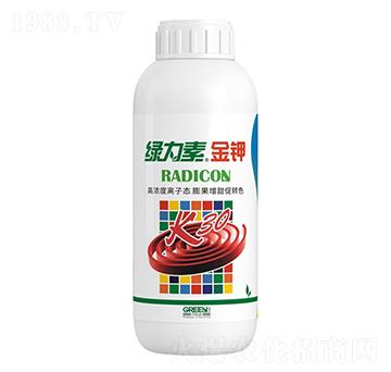 �G���ؽ��-�����ط�