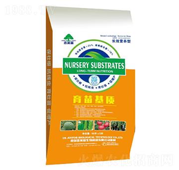 ������|(zh��)-�|���S