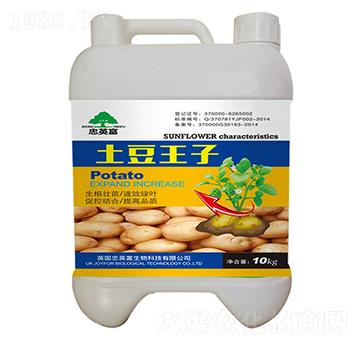 ��������-�|���S