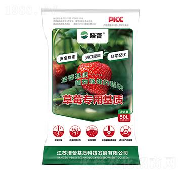 ��ݮ������|(zh��)-����