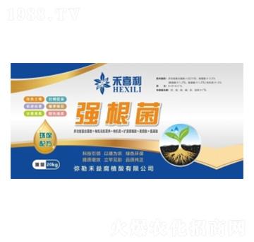 ������-��ϲ��-���港ֲ��