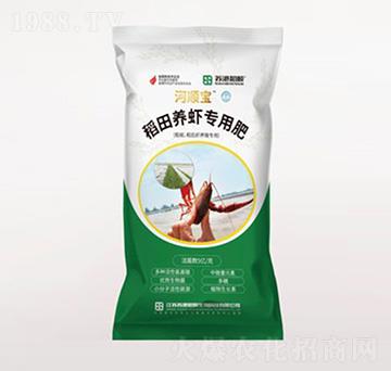 �����B(y��ng)�r��(zhu��n)�÷ʣ����w�ʣ�-��혌�-�}�r(n��ng)ѭ�h(hu��n)