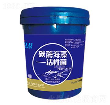 ̼ø������Ծ�-�A���s��