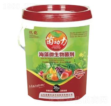 ����΢�������-�sҫ�r(n��ng)�I(y��)