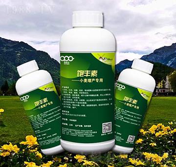 小麥增產專用葉面肥-飽豐素-愛派克