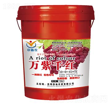 ����Ԫ��ˮ�ܷ���10-