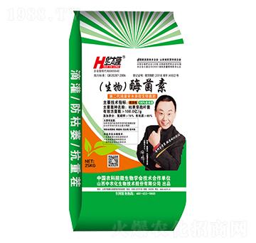 ����ø����-�A̫¡-��