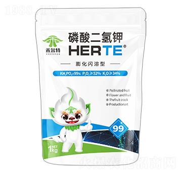 ���W������������-�̠���