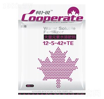 ����Ԫ��ˮ�ܷ���12-5-42+TE-�²��J-���(y��ng)����