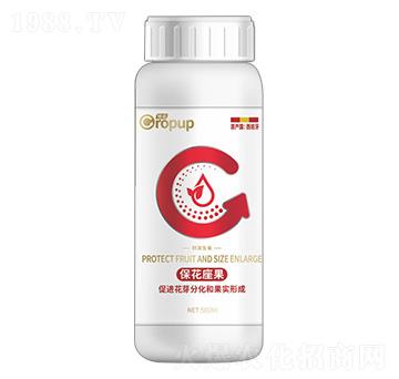 �̼����L��~���-���Z-�ƈD�ع�