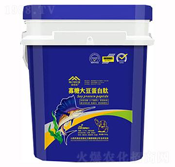 ���Ǵ󶹵����ģ��{��-�����S