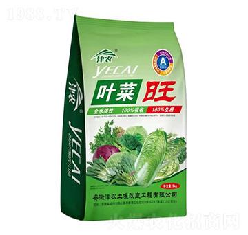 葉菜旺-津農(nóng)