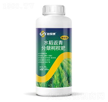 1000ml加硅型水稻返青分蘗柯杈肥-施?？? width=