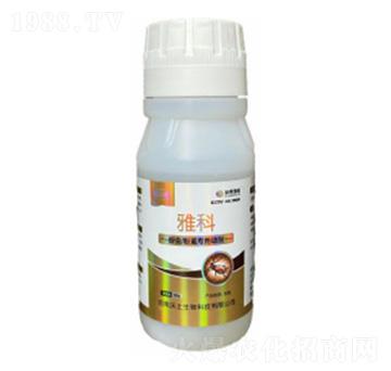 ���x��ʭ��������-�ſ�-�ډѴT�S-��������