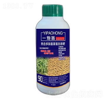 һ���Z-��ʢ�_