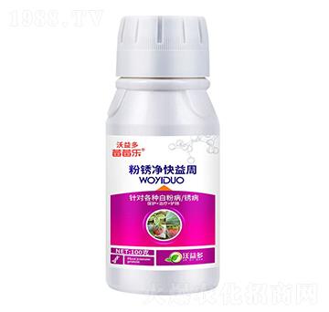 ���P��������-ݮݮ��(l��)-�����