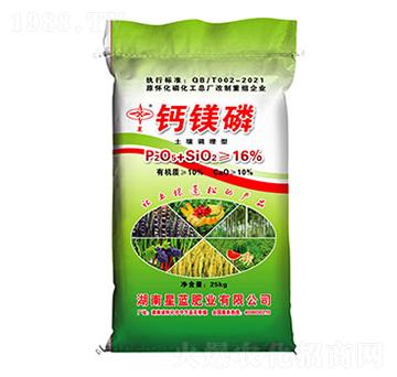 �����{�����}�V��-���{�ʘI(y��)