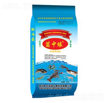 �����ЙC��-���о�-���r(n��ng)����