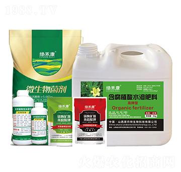 麒麟瓜高產專用肥-綠禾康-晉丹特
