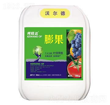 ���-�����_-�֠����r�I(y��)