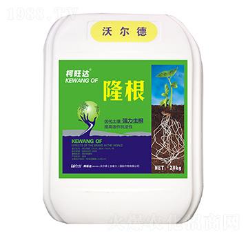 ¡��-�����_-�֠����r�I(y��)