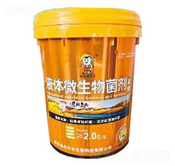 液體微生物菌劑-金農(nóng)今豐