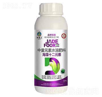 ����Ԫ��ˮ�ܷ���-����ʮ��Ԫ��-�ӵ·�-��Ⱥ�r�I(y��)