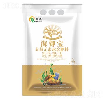 ��⛌�10-6-38+TE-������r(n��ng)