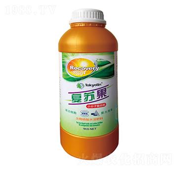 С��������̼-���K��-�����r�I(y��)