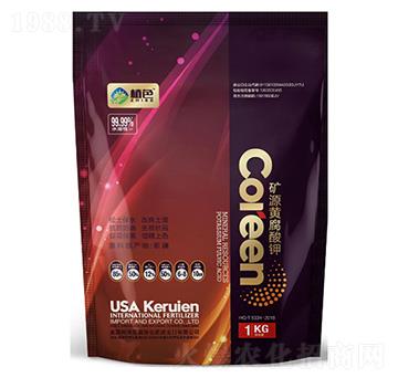 �VԴ�S�����-ֲɫ����