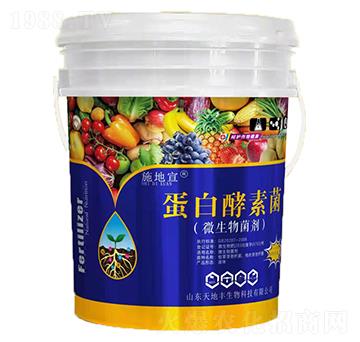 蛋白酵素菌-施地宜-天地豐