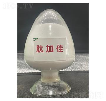 �ļӼ�-��������