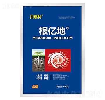 ���|��-ؐ����