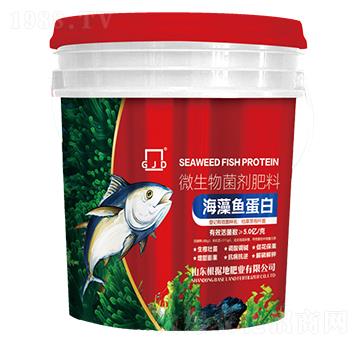 海藻魚(yú)蛋白-根據(jù)地肥業(yè)